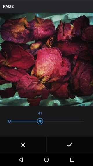 Instagram_fade