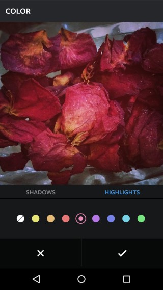 Instagram_color