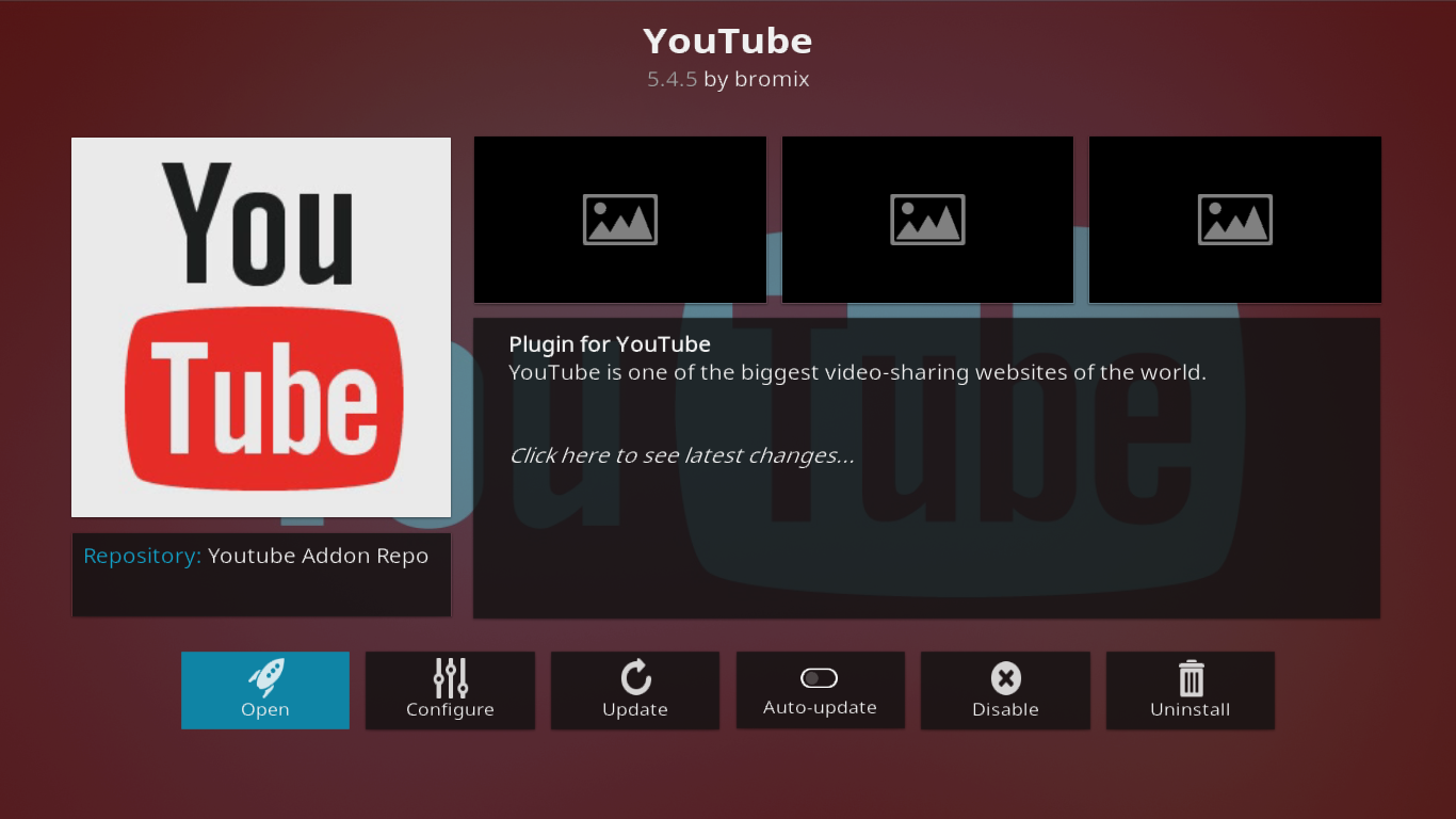 YouTube 애드온 정보