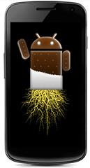 Galaxy Nexus gyökér