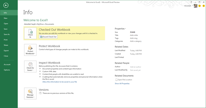 Excel 2013 SkyDrive CheckIn Excel 2013 SkyDrive CheckIn
