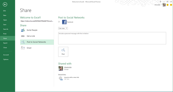 Excel 2013 Social Share Excel 2013 Social Share