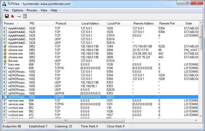 Screenshot TCPView