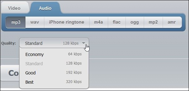 Online Video Converter_Audio