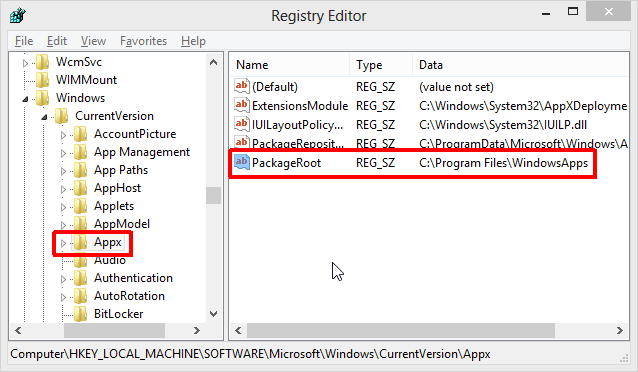 Windows Registry PackageRoot